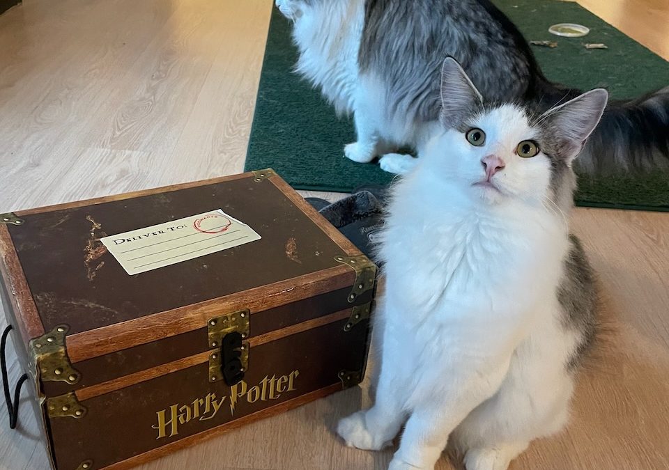 Finally, a new 2nd hand find