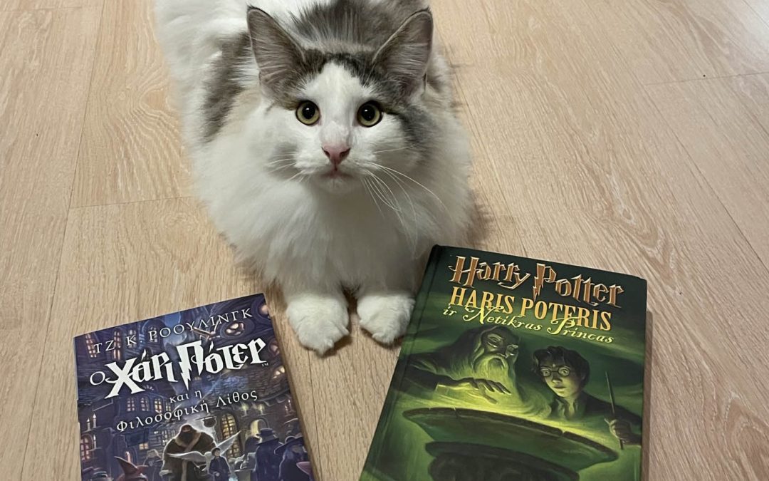 November Potter updates