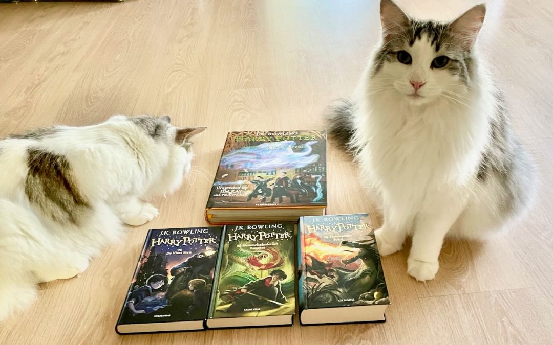 Maybe it’s May updates