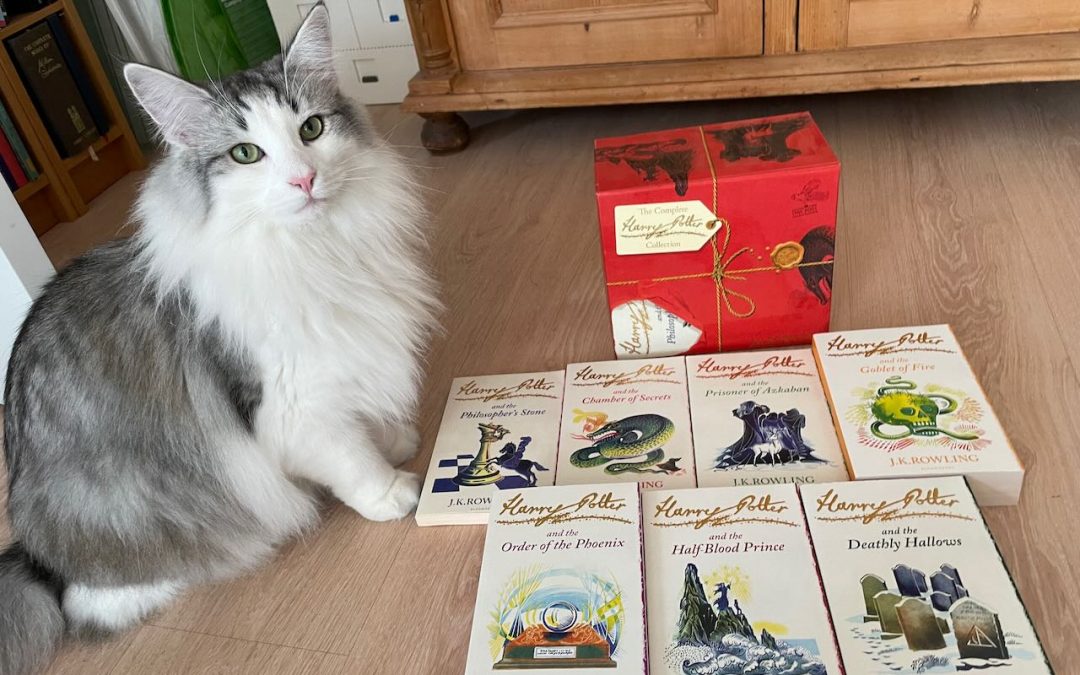 Another marketplace score!